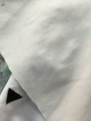 泳装面料